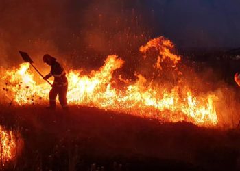 Cei care incendiază miriștea vor pierde subvențiile agricole