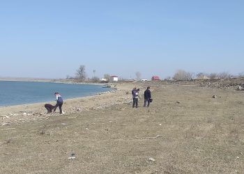 „Captură” record pe malul apei, la Tulcea, dar nu de pește, ci de… pet-uri