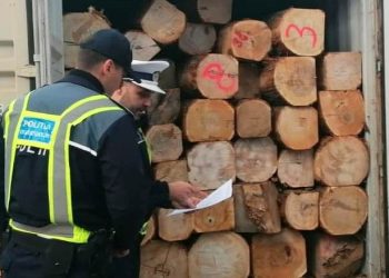 Controale în porturile maritime: Au fost confiscate mărfuri în valoare de 371.000 de lei