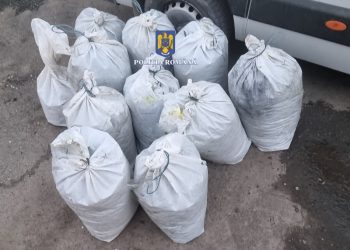 „ACTION DAY – FISHERY”, pentru combaterea braconajului în Dobrogea