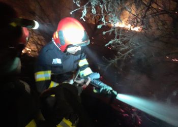 În doar câteva ore au ars în județul Tulcea o mie de hectare de pădure și vegetație uscată