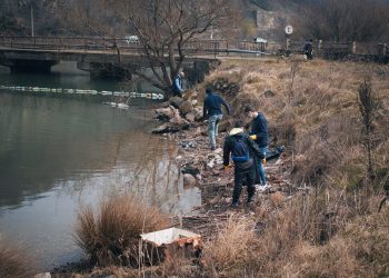 Apele Dunării, afectate de deșeuri