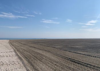 Plajele, pregătite pentru turiști