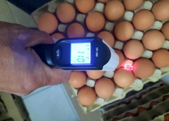 ANPC: Amenzi de peste 380.000 de lei aplicate comercianților de ouă. Vezi care au fost neregulile