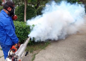 Cernavodă: Începe lupta împotriva țânțarilor