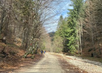 Bilanț de vacanță când mizezi pe „împreună” și „doar noi” 