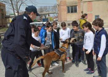 172 de ani de la înființarea Jandarmeriei Române, sărbătoriți la Tulcea