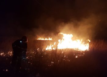 Județul Tulcea: Incendiu de vegetație în zona Turcoaia