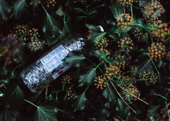 Ziua Pământului. Sărbătorim, ne informăm dar reciclăm?