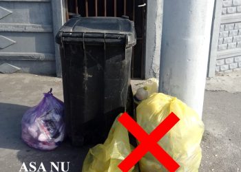 Constănțenii, amendați pentru depozitarea necorespunzătoare a deșeurilor