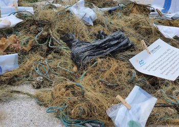 Net Free Black Sea, un nou proiect la malul mării