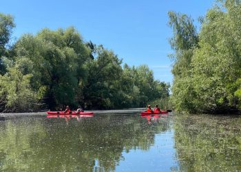 Parchetul European, anchetă privind fraude cu fonduri destinate Deltei Dunării