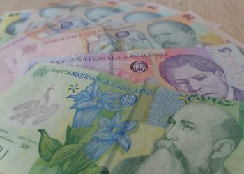 Lege promulgată: Minimum 3.000 lei lunar – salariul de bază minim brut în domeniul agricol