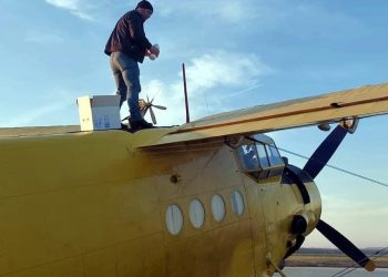 Mangalia: O nouă acțiune de dezinsecție 