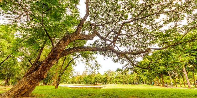 Sursa foto: pexels.com (imagine cu caracter ilustrativ)