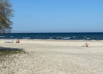 Bronz la 19 grade, de 1 mai  