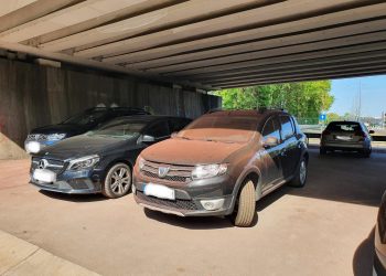 „Dorel” a lovit de la înălțime 