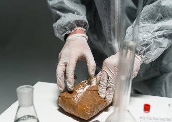 Piața cocainei, în expansiune în UE