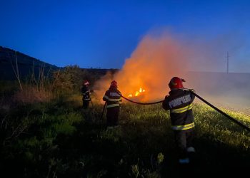 Județul Tulcea: Incendiu de vegetație uscată la Somova