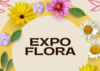 Tulcea: Începe expoziția dendro-floricolă cu vânzare