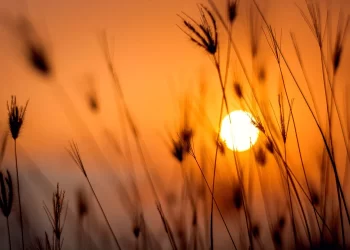 ANM, prognoză pentru următoarele două săptămâni. Vezi cum va fi vremea în Dobrogea