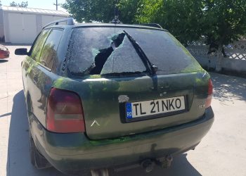 Povestea tragediei de la Cogealac. Ce spun procurorii?!