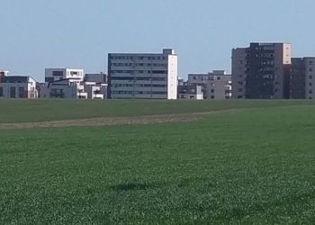 Continuă consultarea publică pentru un nou parc în Constanța