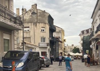 Constanța: Mobilizare în centrul istoric, din cauza unui pui de pitbull 