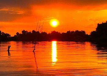 Solstițiul de vară