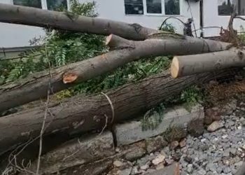 Cod galben de ploi și vânt puternic la Tulcea. Iată care sunt efectele vremii