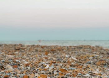 Informare meteorologică de vreme rea în Dobrogea