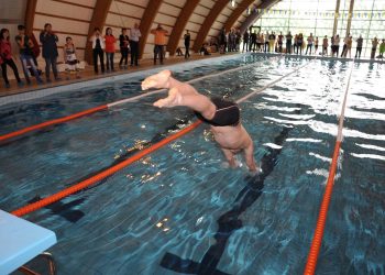 Tulcea: Cursuri gratuite de înot pentru elevi
