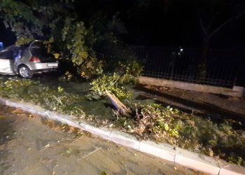 UPDATE – Hârșova: Un tânăr a murit carbonizat în mașină în urma unui accident violent