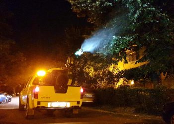 Noi acțiuni de dezinsecție în Constanța