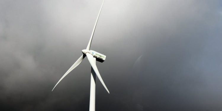 sursa foto: pexels.com