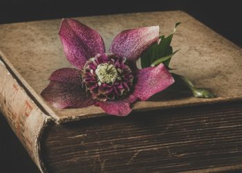 Constanța: Expoziție de carte veche