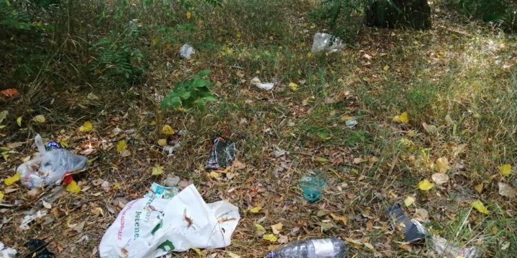 Sursă foto: Facebook - Primăria Tulcea