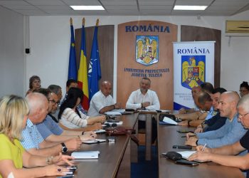 Asistență medicală de urgență pentru persoanele aflate în pericol la bordul navelor din rada Sulina