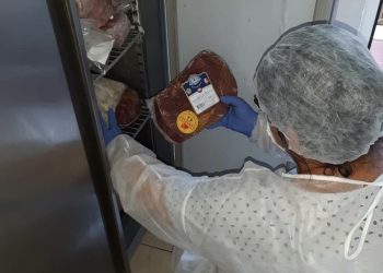 Controale și amenzi în tabere școlare, grădinițe și pensiuni 