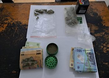 Capturi… halucinogene pe litoral