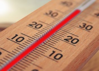 Dobrogea: Cod galben de caniculă 