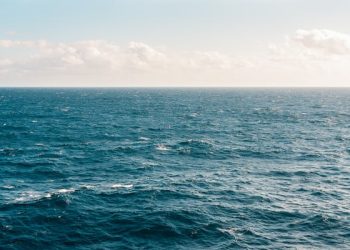 Continuă căutările persoanei dispărute în Marea Neagră la începutul lunii august