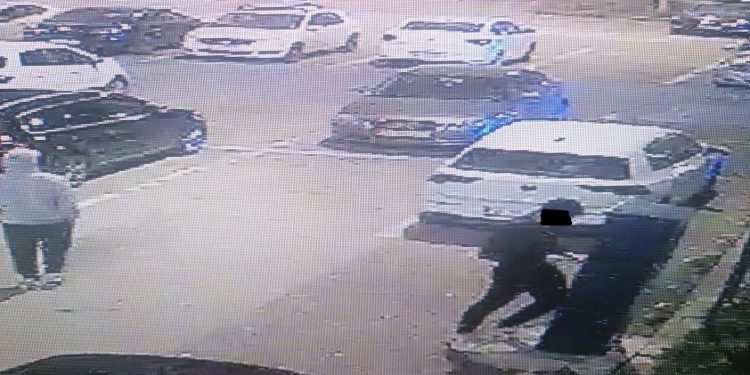 Sursa foto: Facebook - Direcția de Poliție Locală a Municipiului Tulcea