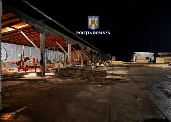 Percheziții de amploare la Constanța și în alte 16 județe. Dosare penale privind tăierea ilegală de arbori