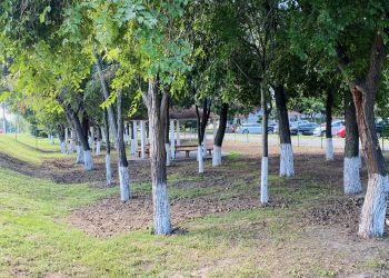 Un nou parc destinat patrupedelor