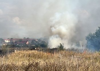 Incendiu de vegetație uscată între Lumina și Năvodari