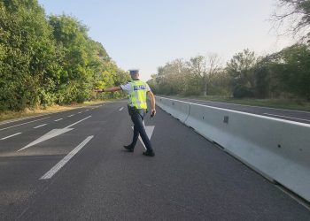 Polițiștii rutieri, acțiune BLITZ în sudul litoralului