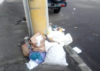 Peste 240 de amenzi pentru depozitarea ilegală de deșeuri pe domeniul public