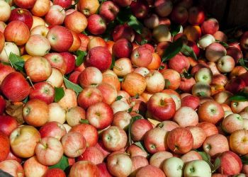 ANSVSA: Amenzi în urma controalelor la depozitele de legume, fructe și cereale