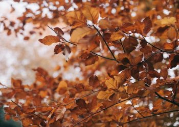 Vremea pe litoral, în octombrie